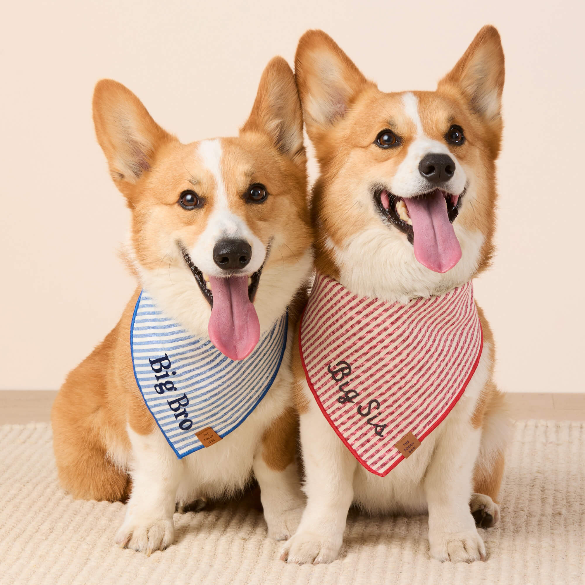 Red Stripe Dog Bandana - Image 3