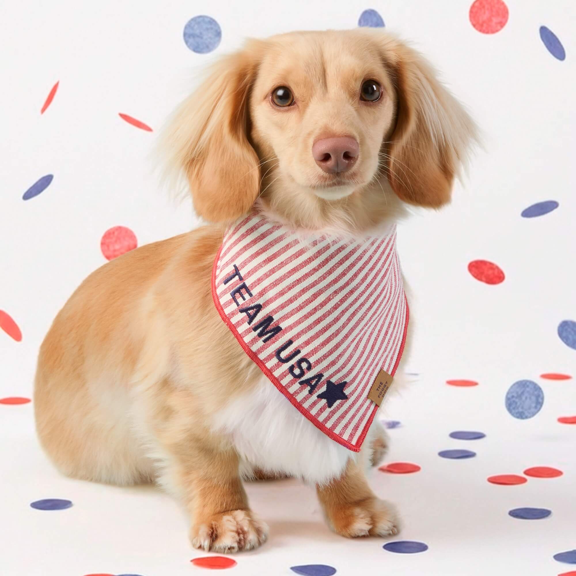 Red Stripe Dog Bandana - Image 4
