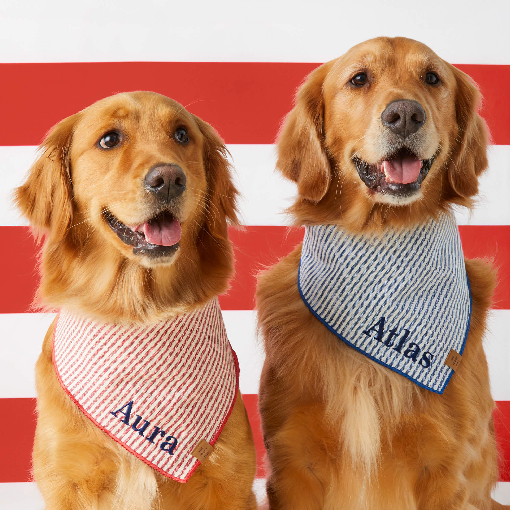 Red Stripe Dog Bandana - Image 5