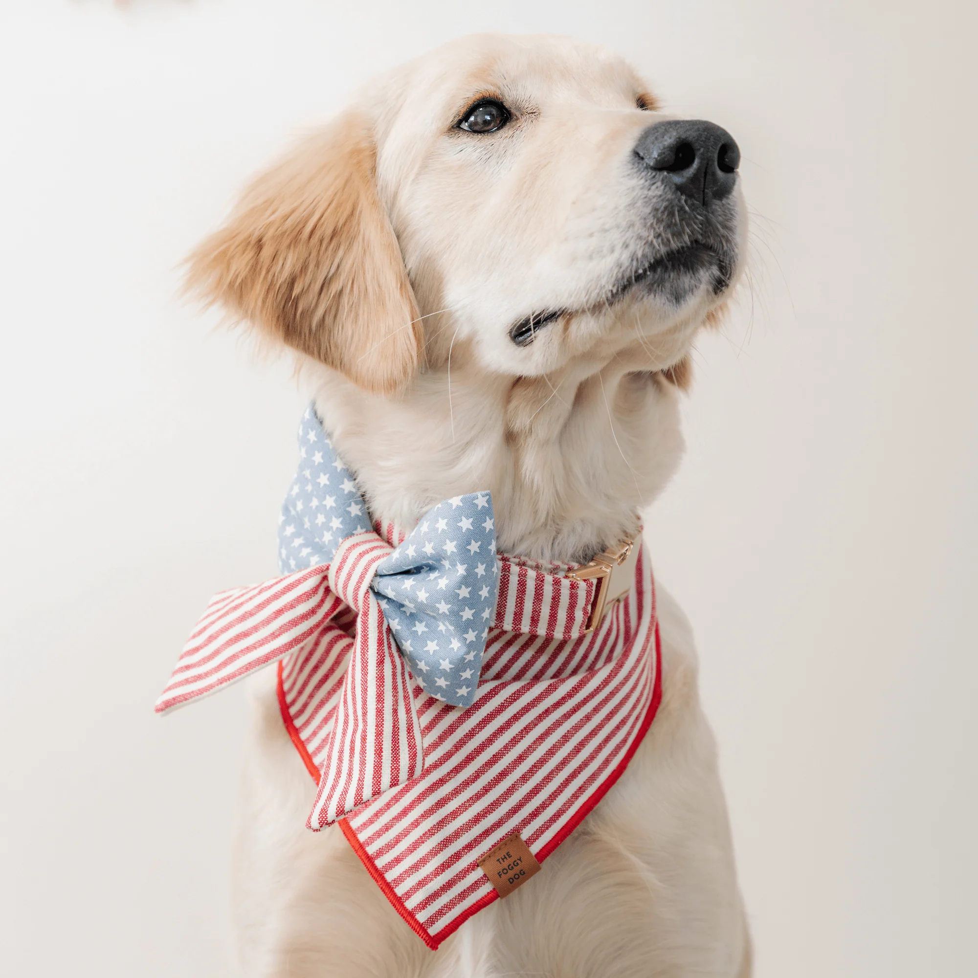 Red Stripe Dog Bandana - Image 8