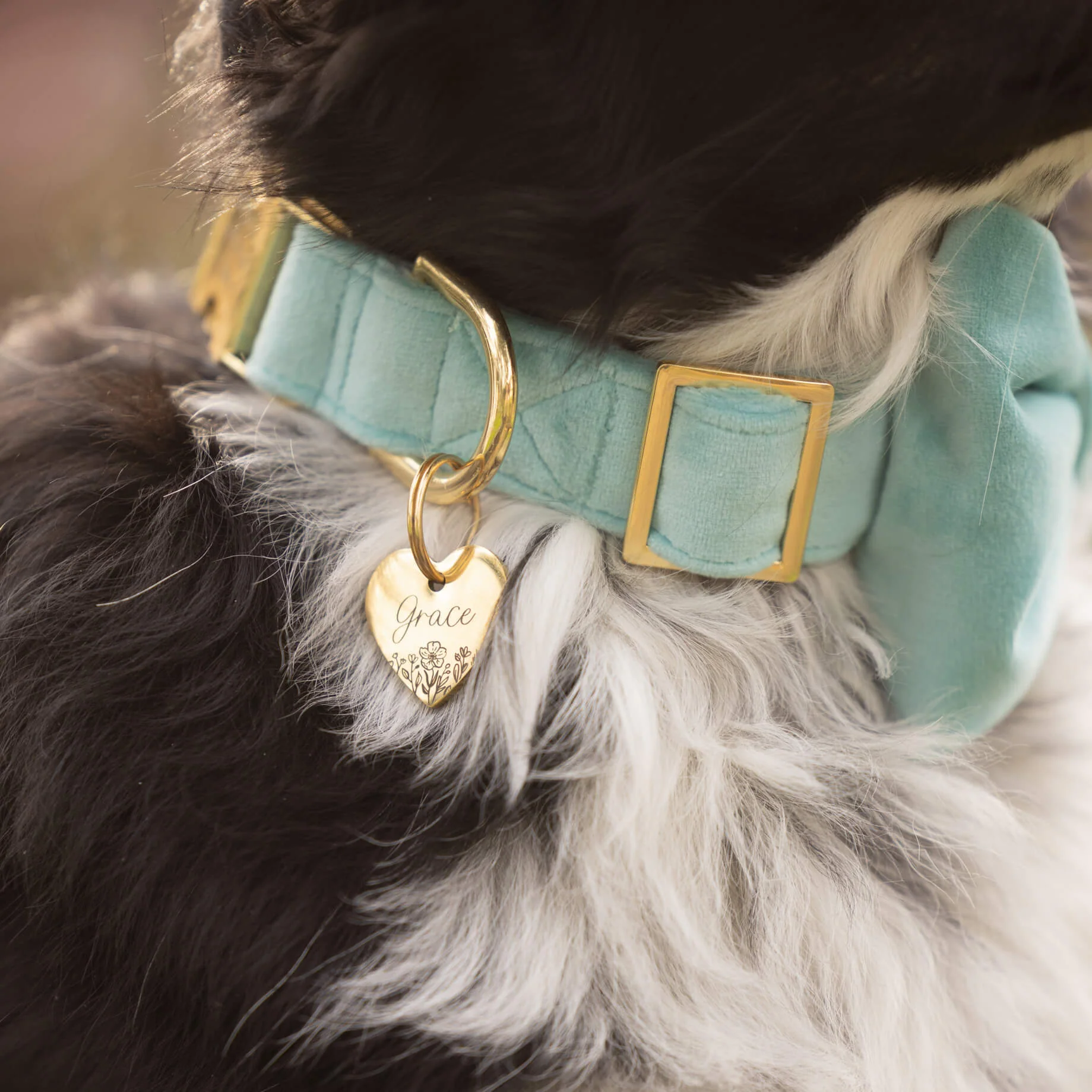 Robin’s Egg Velvet Dog Bow Tie - Image 5