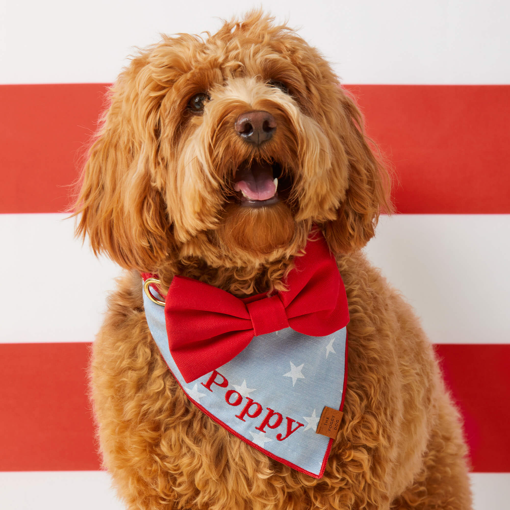 Ruby Dog Bow Tie - Image 4