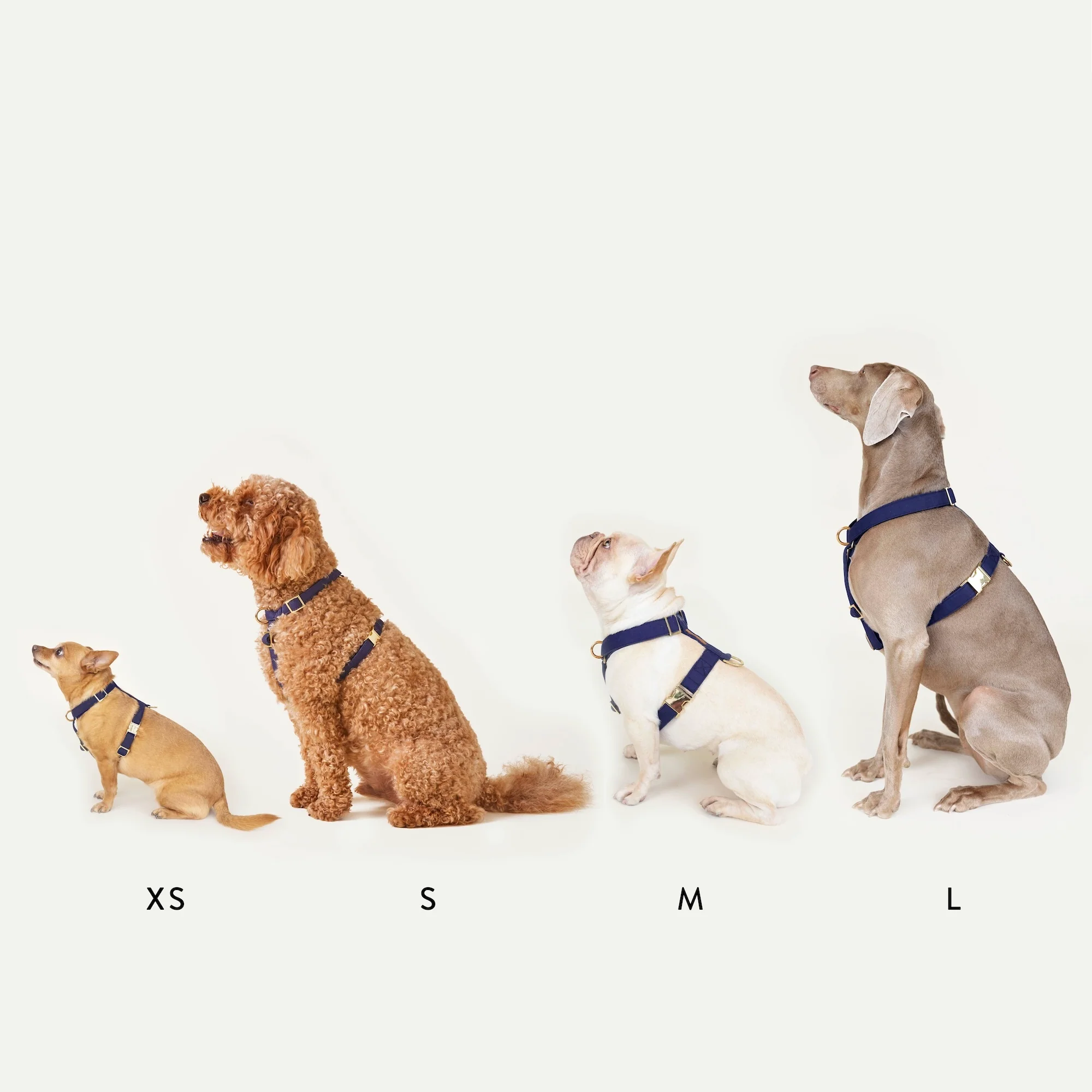 Ruby Dog Harness - Image 11