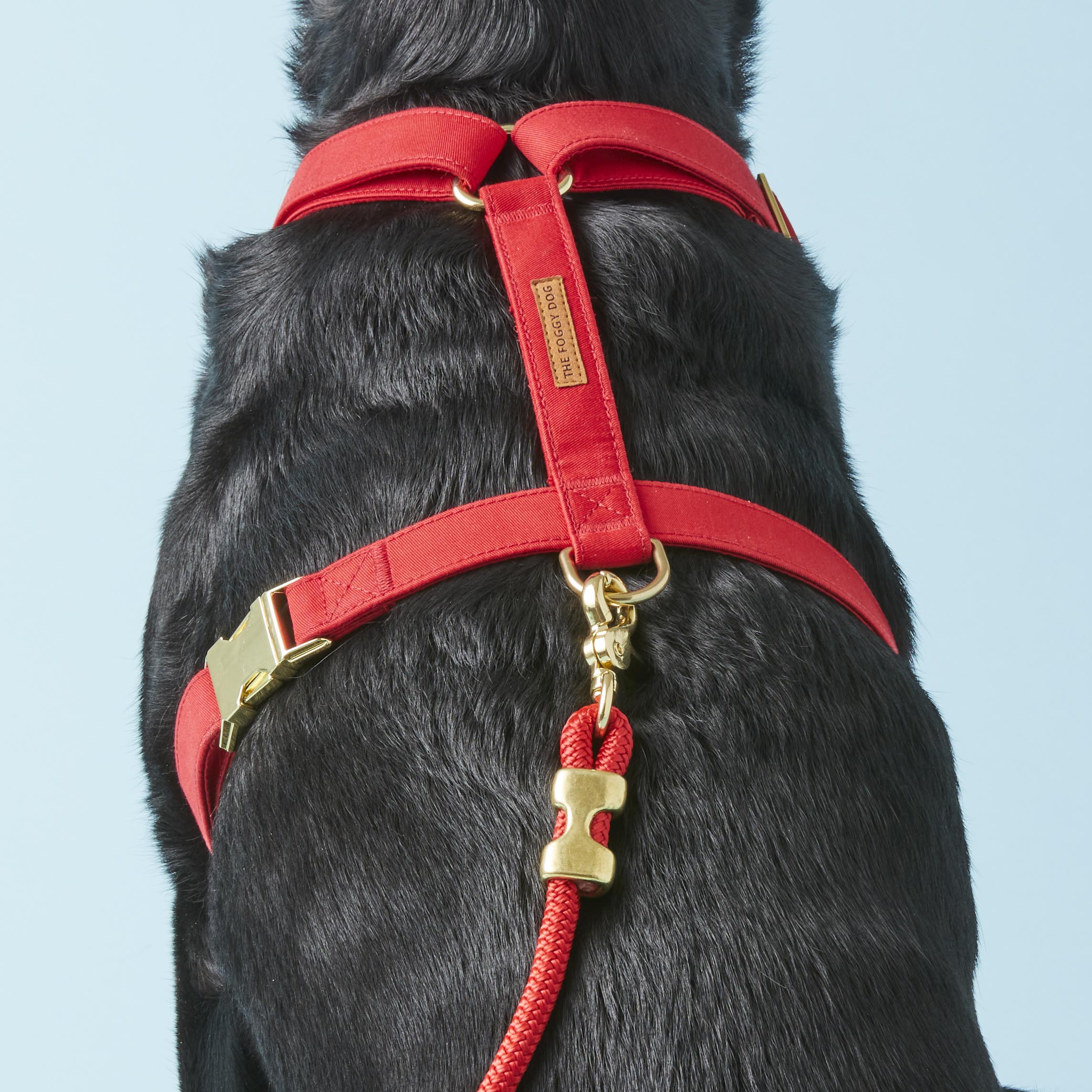 Ruby Dog Harness - Image 7