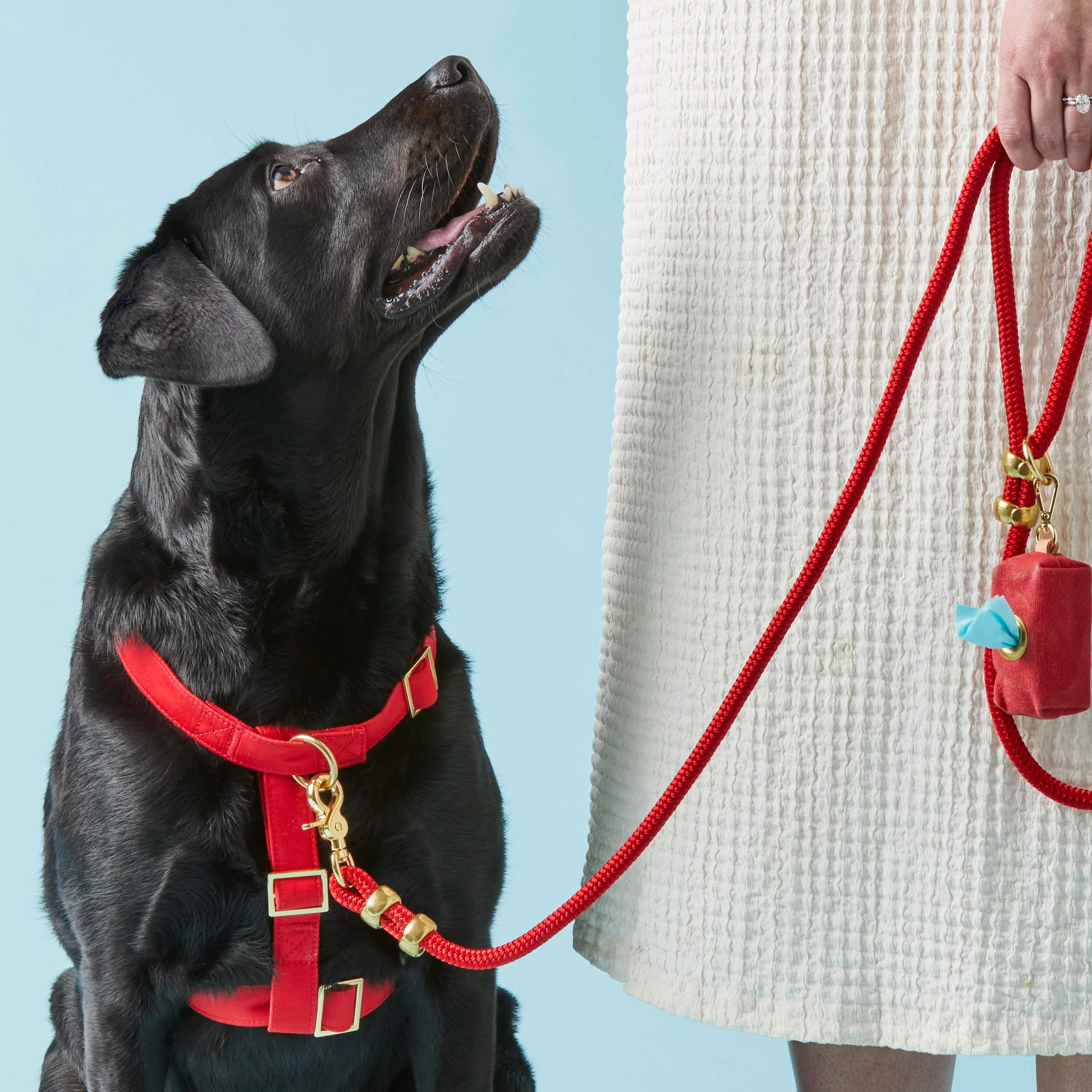 Ruby Dog Harness - Image 8