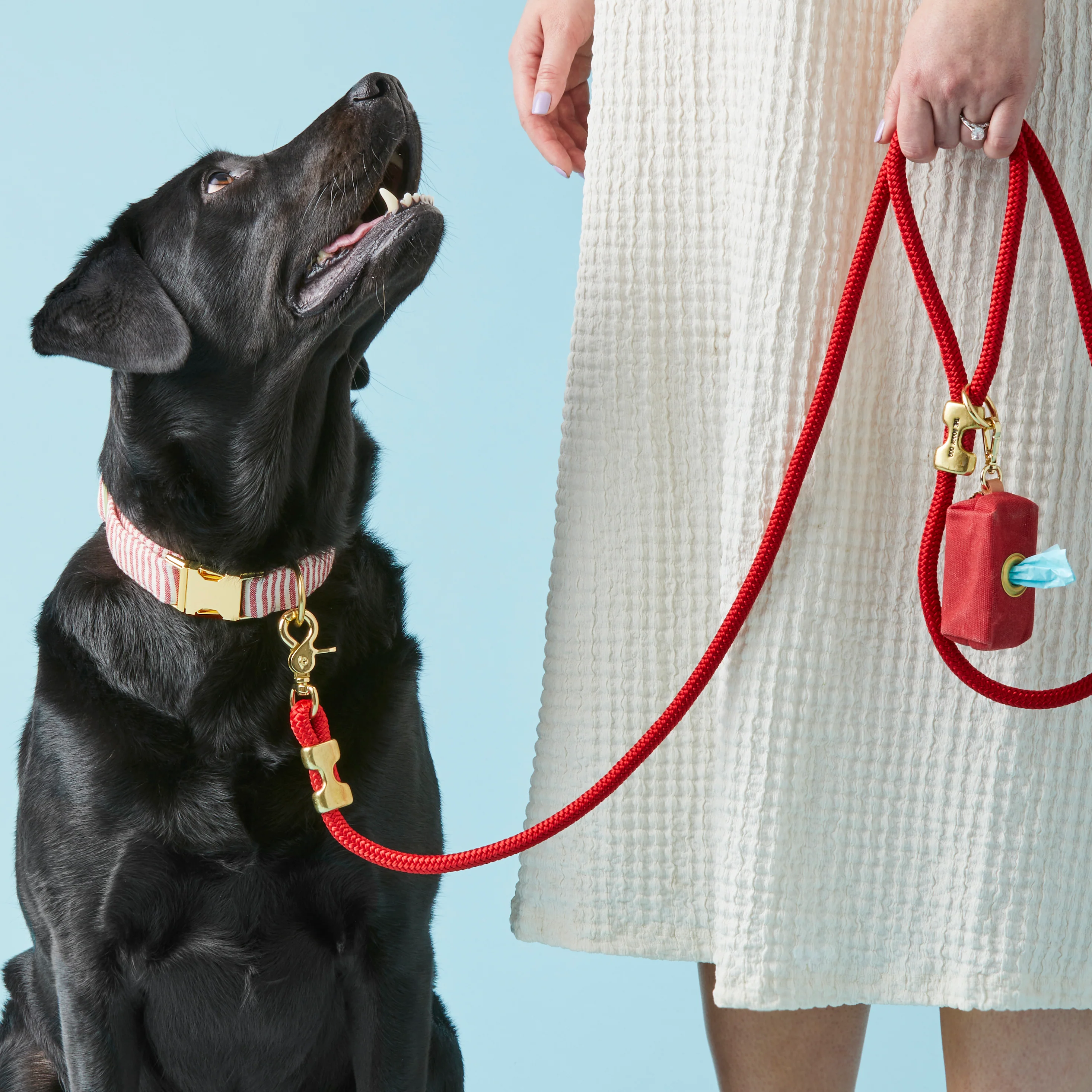 Ruby Marine Rope Dog Leash - Image 4