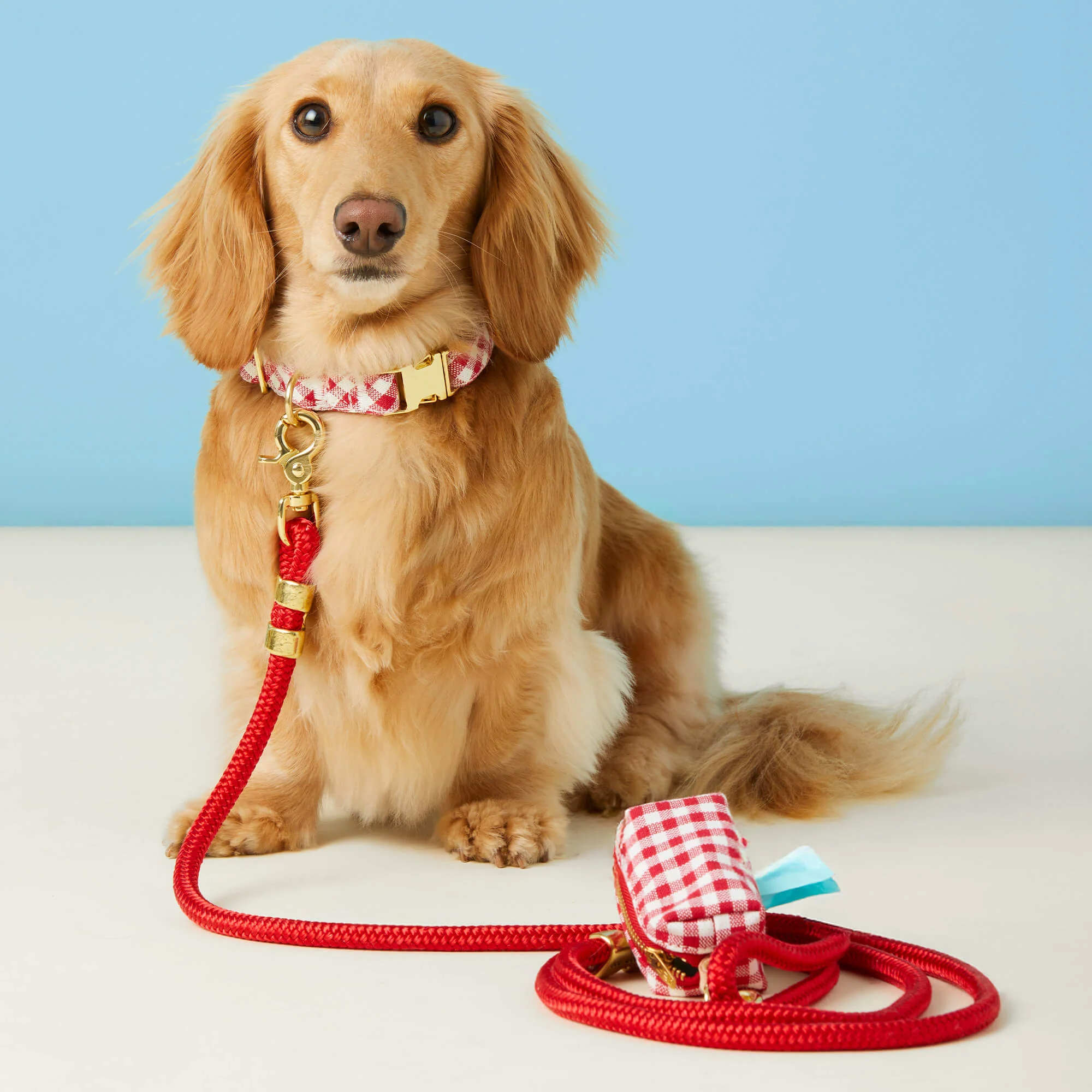 Ruby Marine Rope Dog Leash - Image 6