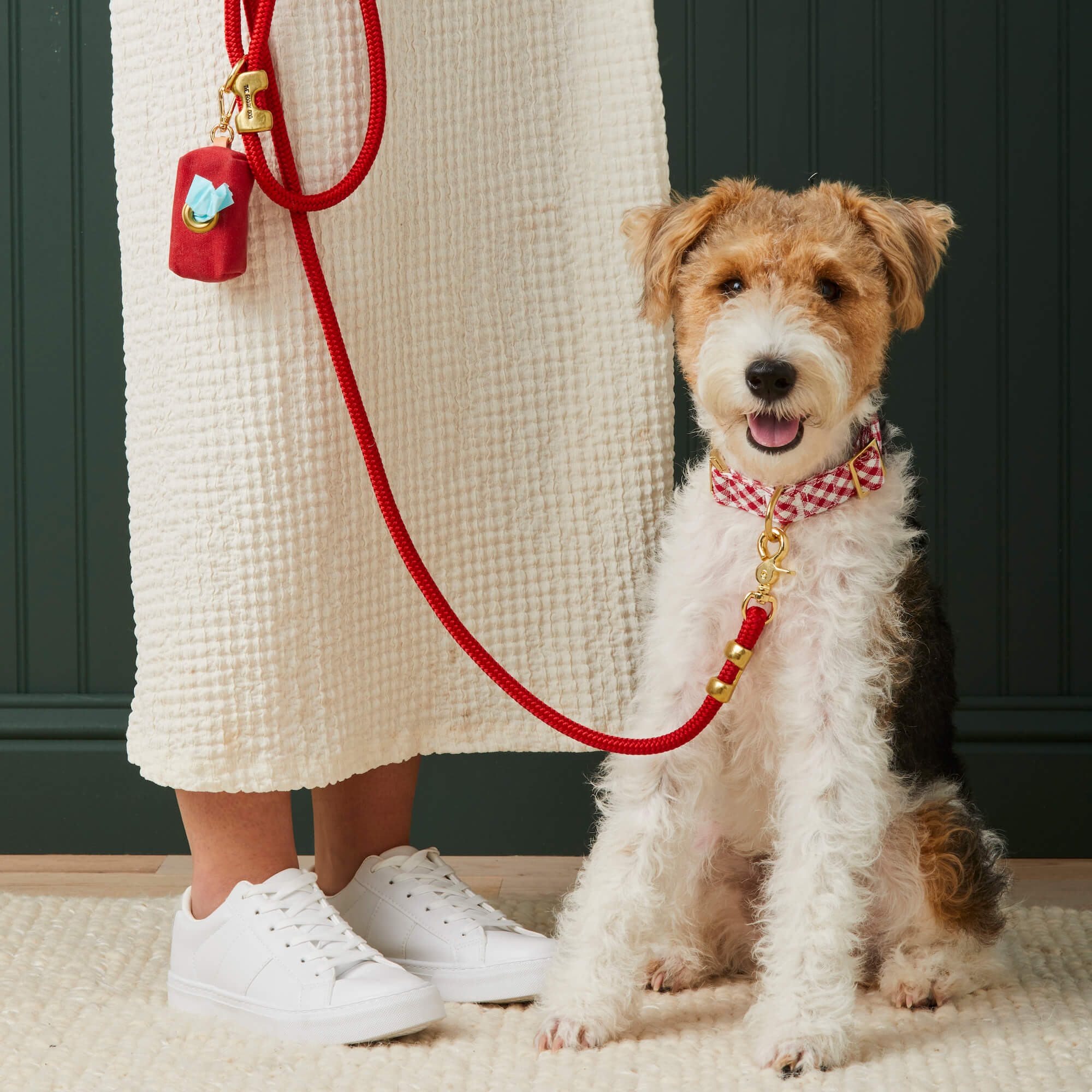 Ruby Marine Rope Dog Leash - Image 10