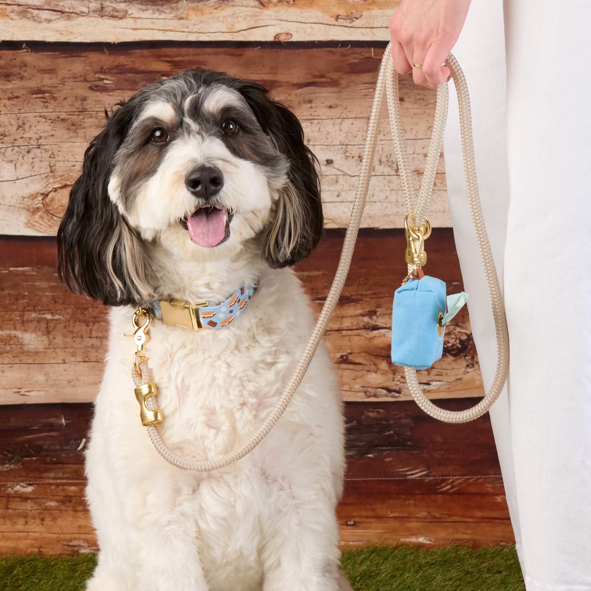 S’more to Love Dog Collar - Image 5