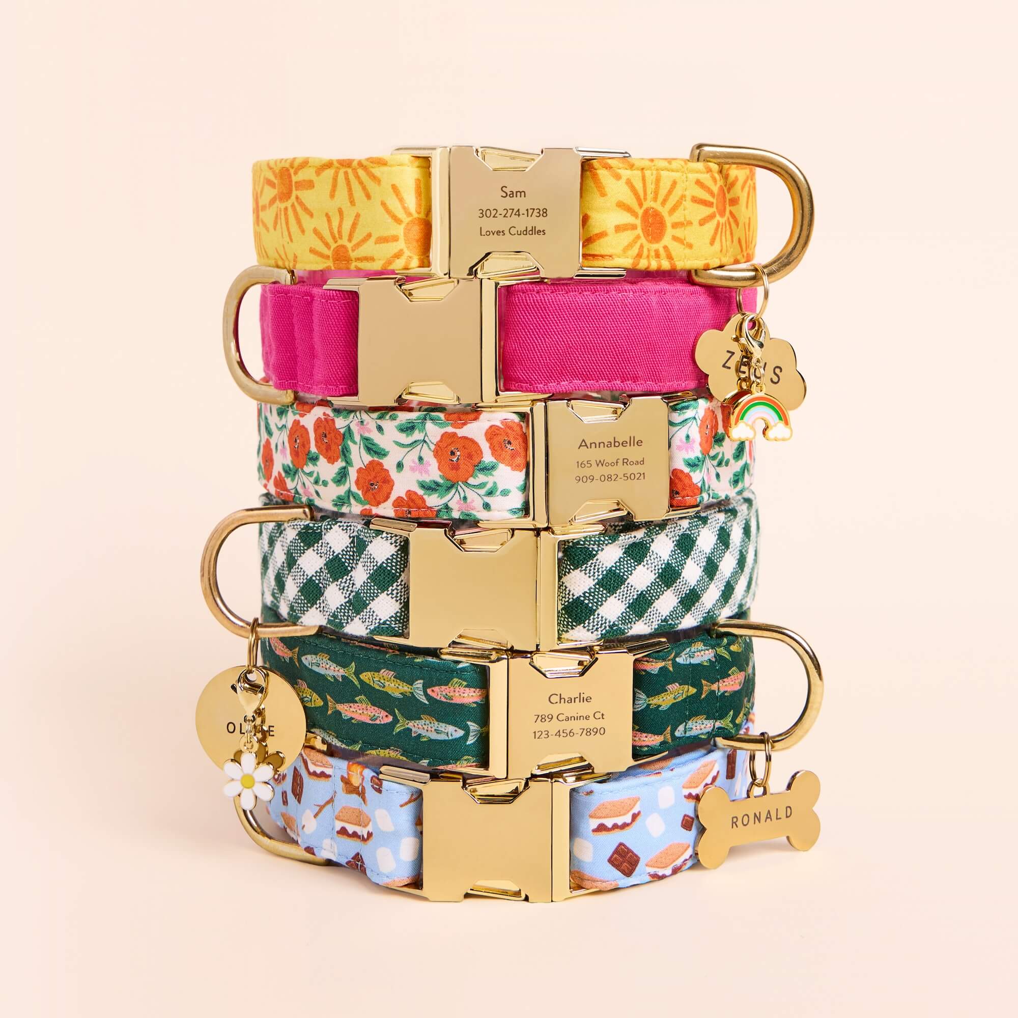 Cloud Pet ID Tag - Image 12