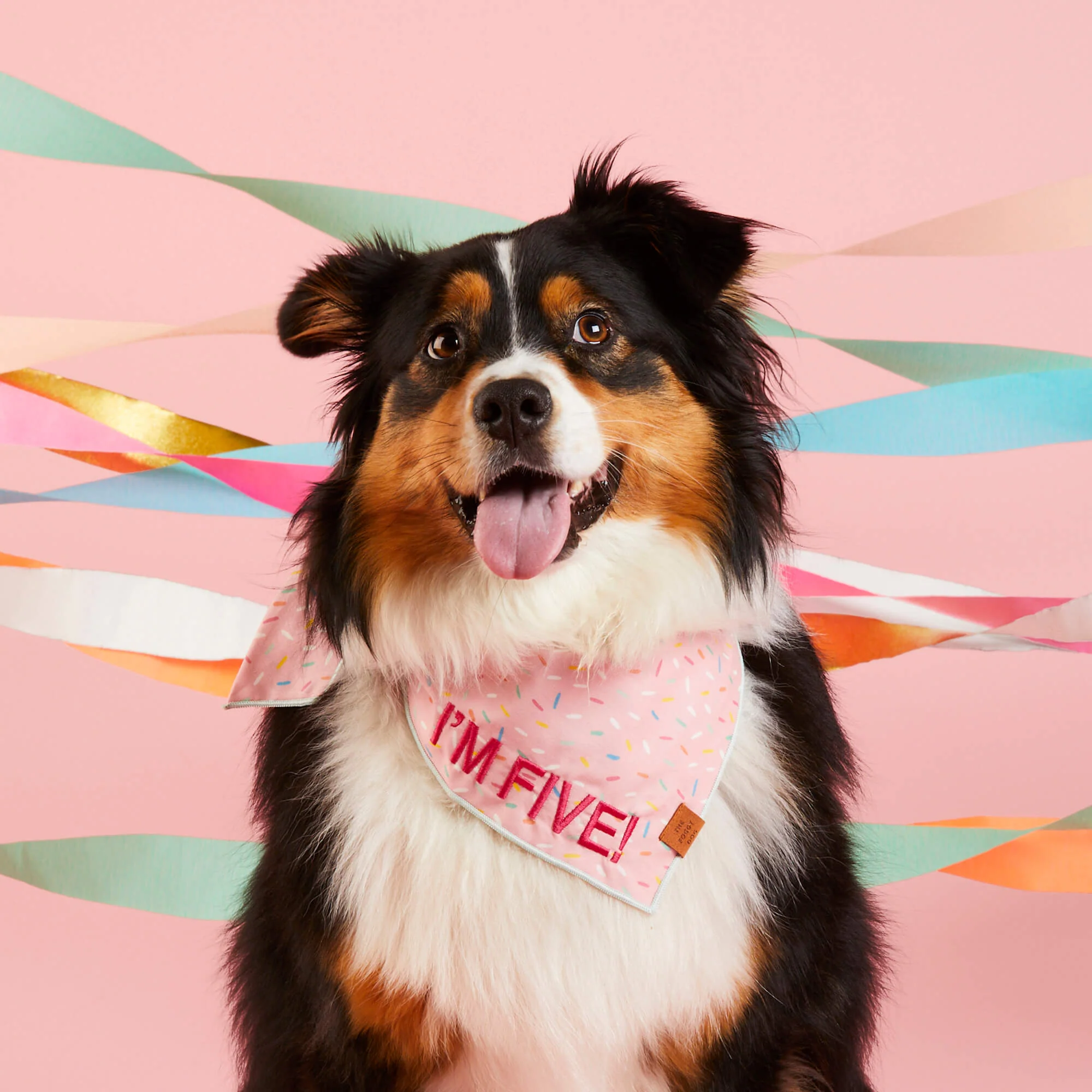 Sprinkles Dog Bandana - Image 3