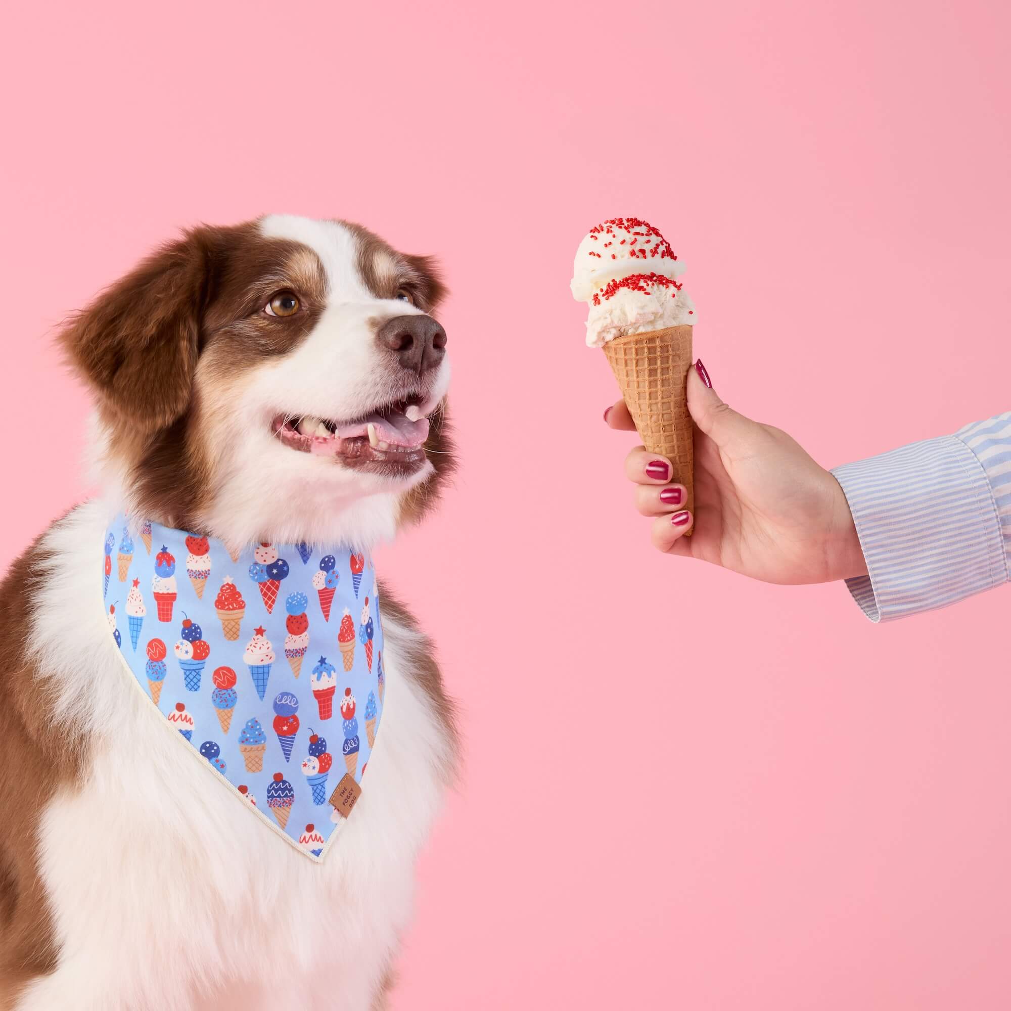 Star-Spangled Scoops Dog Bandana - Image 3