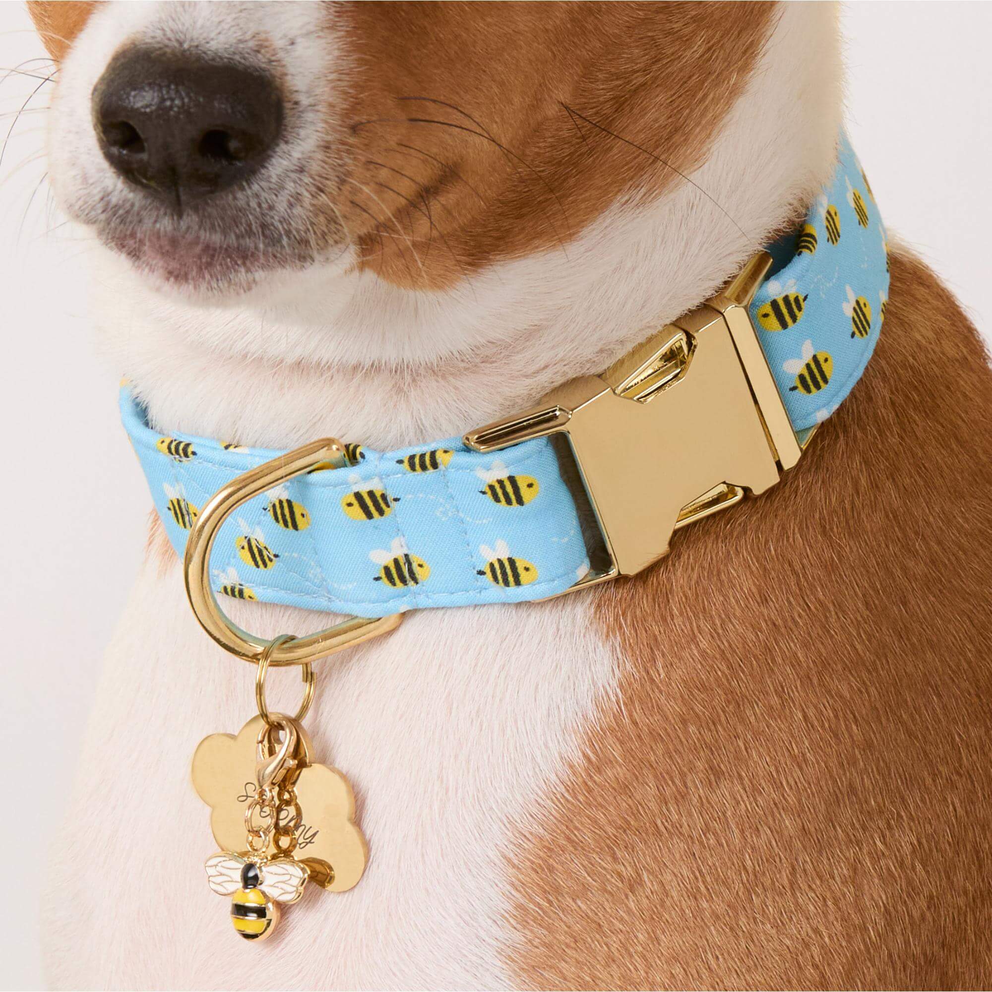 Cloud Pet ID Tag - Image 5