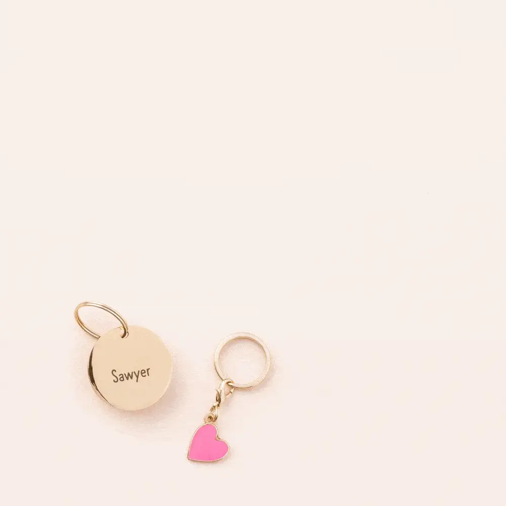 Tennis Ball Collar Charm - Image 11