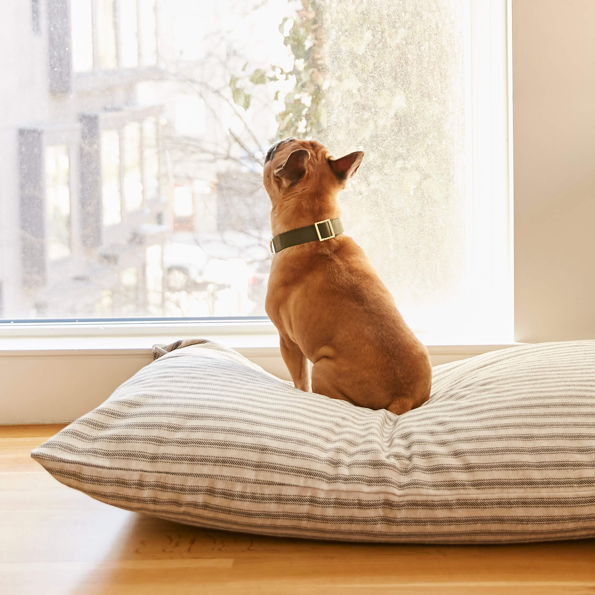 Ticking Stripe Dog Bed - Image 11