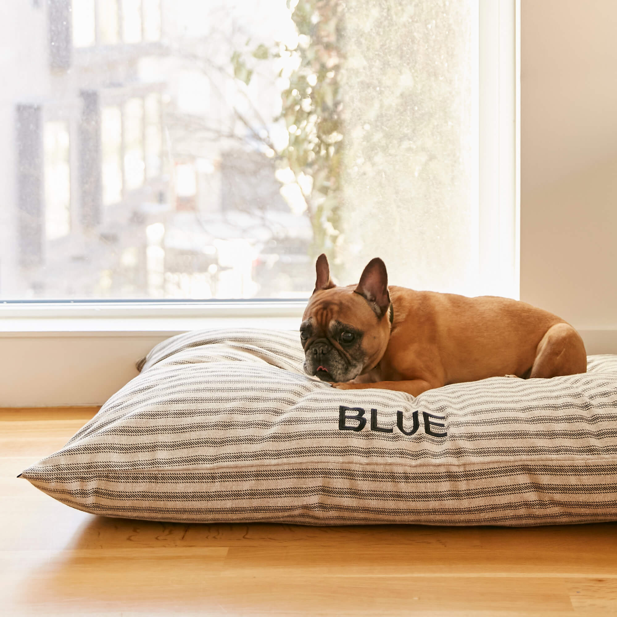 Ticking Stripe Dog Bed - Image 6