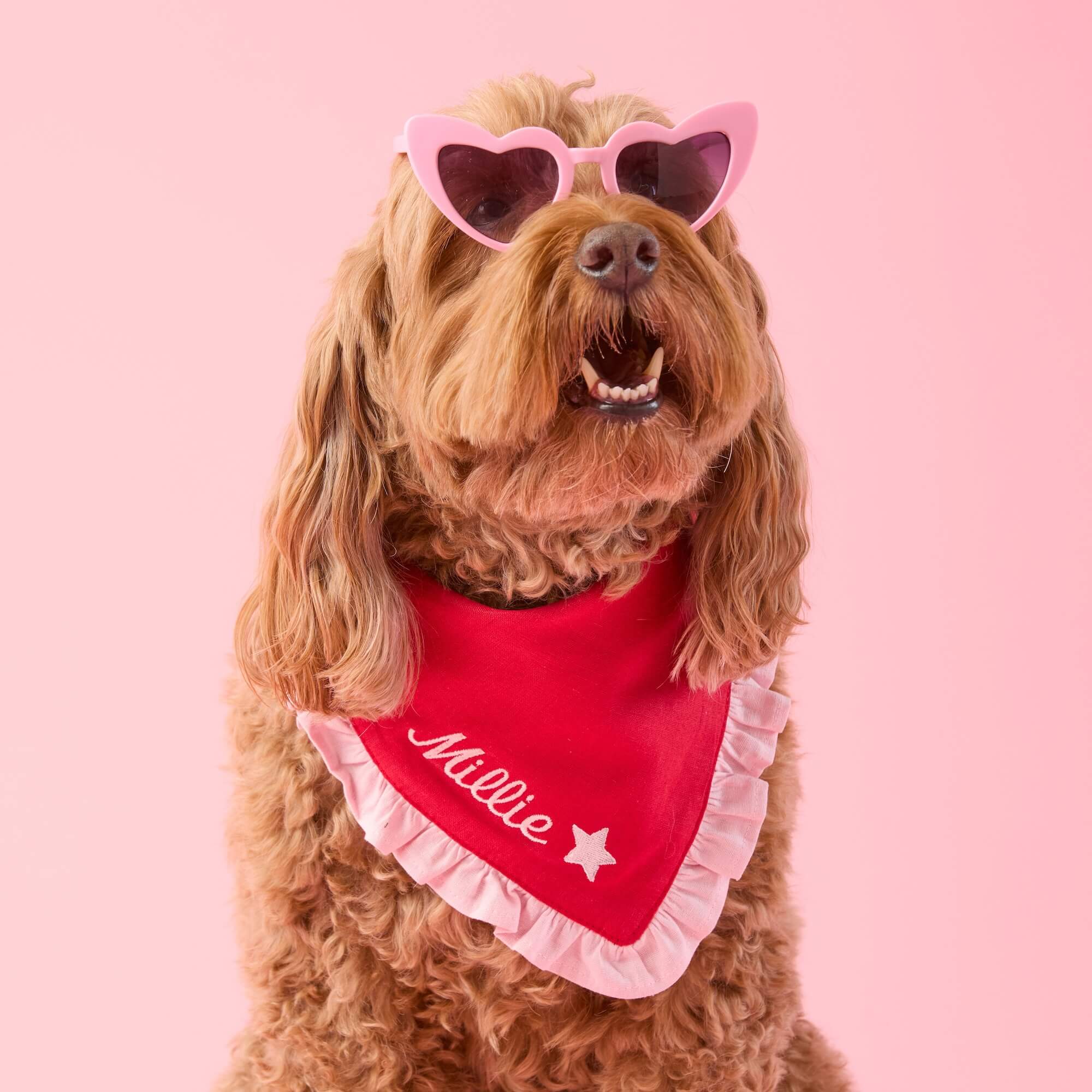 Valentine Ruffle Dog Bandana - Image 3